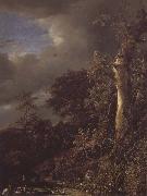 Jacob van Ruisdael Oak Tree and Dense Shrubbery at the Edge of a pond oil painting artist